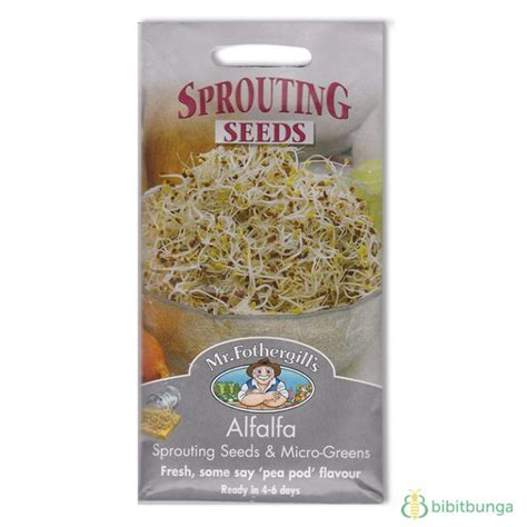 Benih Kecambah Alfalfa (Alfalfa Sprouts) 25 Gr Biji - Mr Fothergills - BibitBunga.com