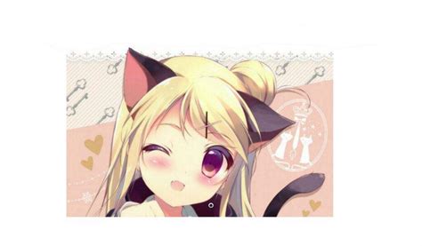 Cat ears | Anime Amino