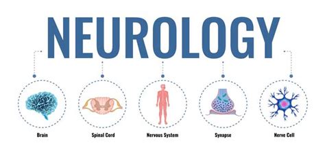 Neurology - Worldwide health and medical information