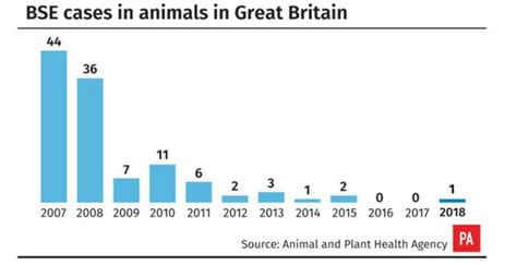 'Mad Cow Disease': Symptoms, Outbreaks And Everything You Need To Know | HuffPost UK