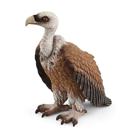 Schleich Vulture 14847 - Toys Hobbies