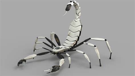 Scorpio 3D model - TurboSquid 1925693