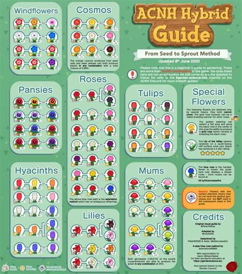 acnh flower breeding chart - Parker Robison