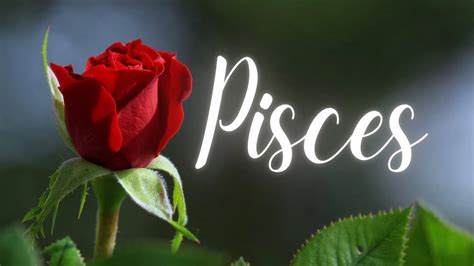 PISCES LOVE TODAY - YOUR LOVE READING BLEW ME AWAY!!! A MUST WATCH ...