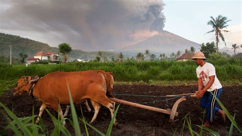 Bali volcano leaves tourists stranded, some worry others may stay away