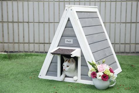 10 Best Outdoor Cat Houses | Reviews + Guide