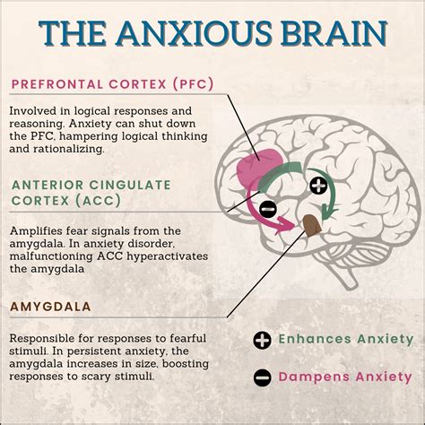 How Does Anxiety Affect Your Brain?