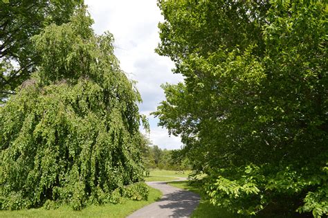 Cylburn Arboretum – Maryland Historic District