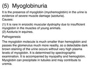 7 diseases of urinary system part b | PPT