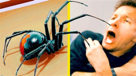 Conquer Your Fear of Spiders - YouTube