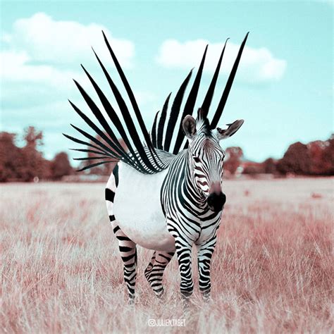 French Artist Creates The Most Surreal Animal Images Using Photoshop - UltraLinx | Animal photo ...