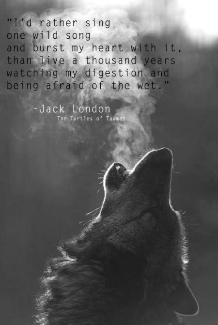 From White Fang Quotes. QuotesGram