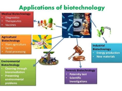 Applications of bacteria in biotechnology.