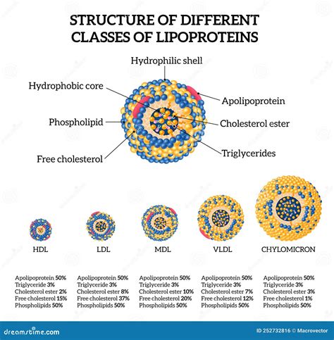 Apolipoprotein Cartoons, Illustrations & Vector Stock Images - 51 Pictures to download from ...