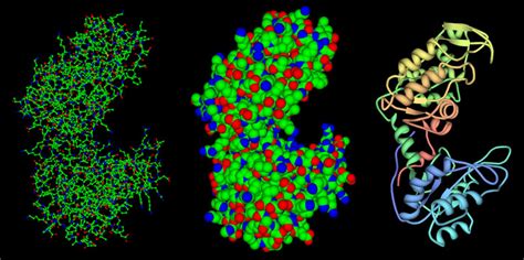 AlphaFold2: A New Generation of Protein Structure Prediction – Eureka