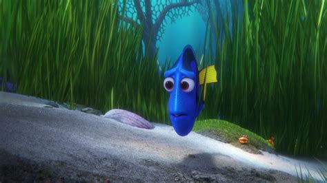 Finding dory full movie part 1 - cafeulsd