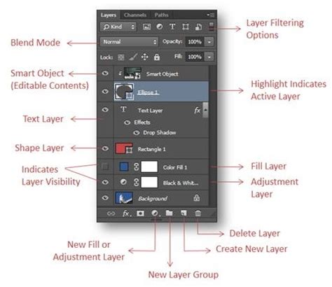 Layer Basics and Types of Layers in Photoshop CS6