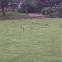 Brookside Park - Playground in Bloomfield