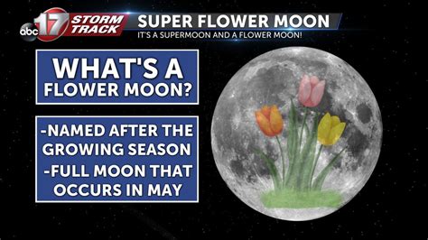 Super Flower Moon lights up the sky tonight - ABC17NEWS