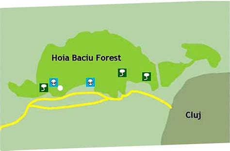 Hoia Baciu Forest (Cluj-Napoca) - 2021 All You Need to Know BEFORE You ...