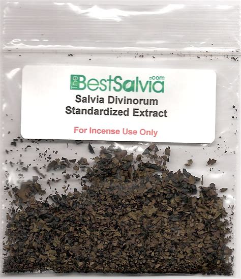 The 5 Top Potential Uses Of Salvia That You Should Know - World Wide Topic