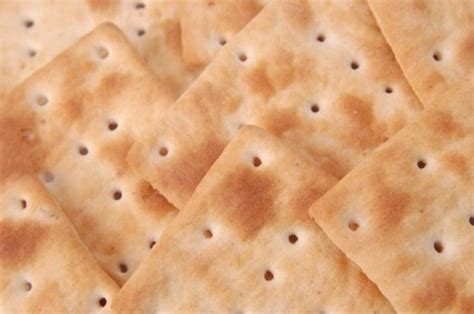 Uses for Stale Crackers | ThriftyFun