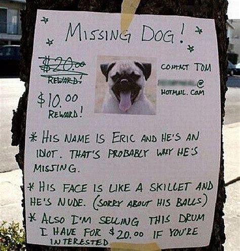 Missing Dog Poster