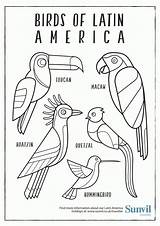 South America Coloring Page  Home sketch template
