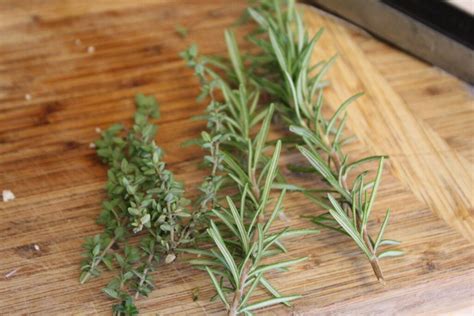 How To Chop Fresh Rosemary And Thyme - Recipes.net