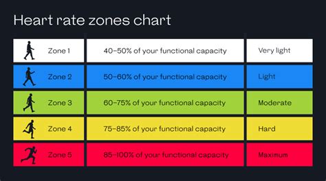 What are Heart Rate Zones & how to calculate it with Welltory