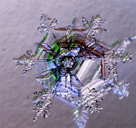 20090302_201049 snowflake macro | snowflake macro, end of a … | Flickr