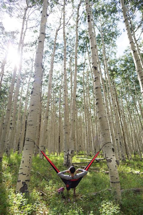 Hiking the Aspen Forests of Inner Basin Trail — Flagstaff, AZ — Backcountrycow | Backpacking and ...