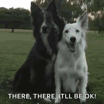 Dog Hug GIF - Dog Hug Bff - Discover & Share GIFs | Dogs hugging, Dogs ...