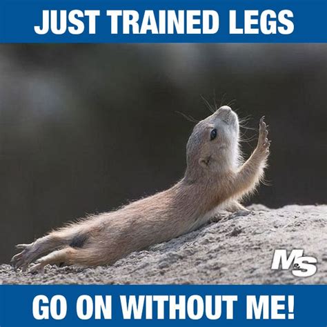 13 Hilarious "After Leg Day" Memes For People Who Really Train Legs ...