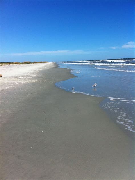 d7ba03a2c9e5ebeaa5445a55e2916e67.jpg 1,200×1,606 pixels (With images) | South carolina beaches ...