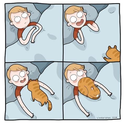 Every Cat Owner's Life Perfectly Illustrated In 40 Funny Comics | DeMilked