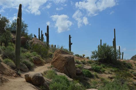 Hiking in Phoenix Arizona: Camelback, Papago, and Pinnacle Peak — Go Seek Explore