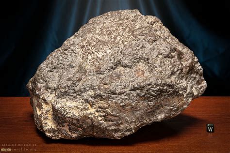 Stone Meteorite | NWA 869 13kg | Aerolite Meteorites