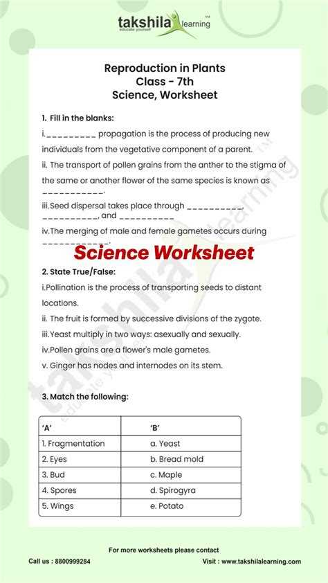 Reproduction in plants class 7 science worksheet – Artofit