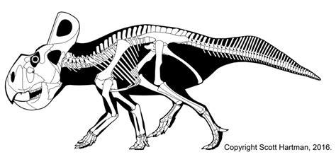 Mark Witton.com Blog: Why Protoceratops almost certainly wasn't the ...