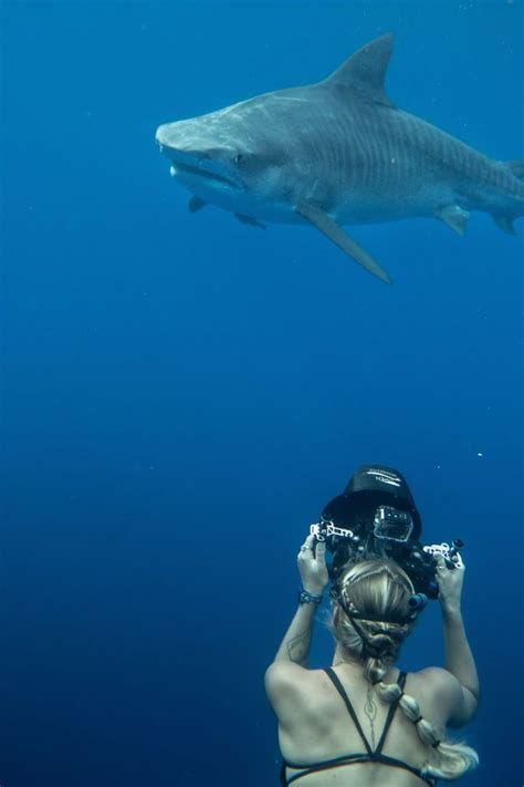 Wildlife Biologist, Underwater Photography, Marine Photography, Marine ...