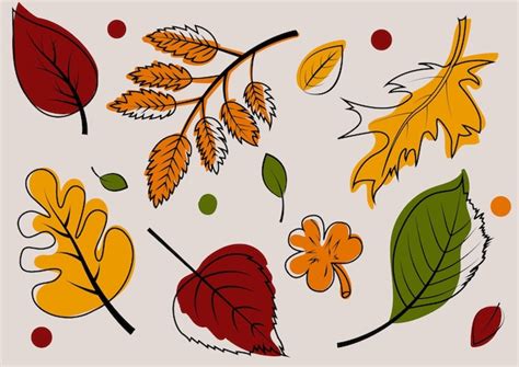 Premium Vector | Autumn leaves are set for design banner and another template