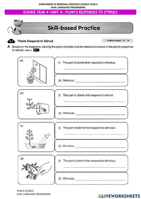 Stimulus Response Worksheet