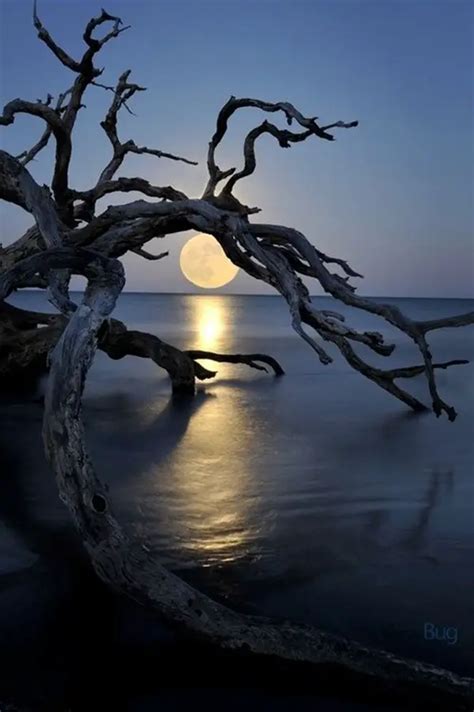 90 Charming Moonlight Photography Ideas and Tips [2020 Updated]