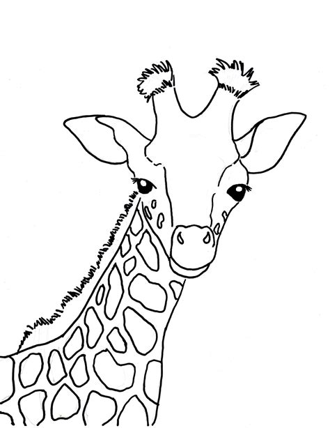 Funny Giraffe Coloring Pages at GetColorings.com | Free printable ...