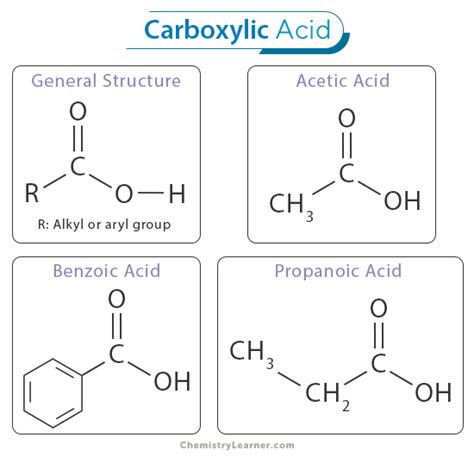 Carboxylic Acid: Definition, Examples, Synthesis, and Reactions