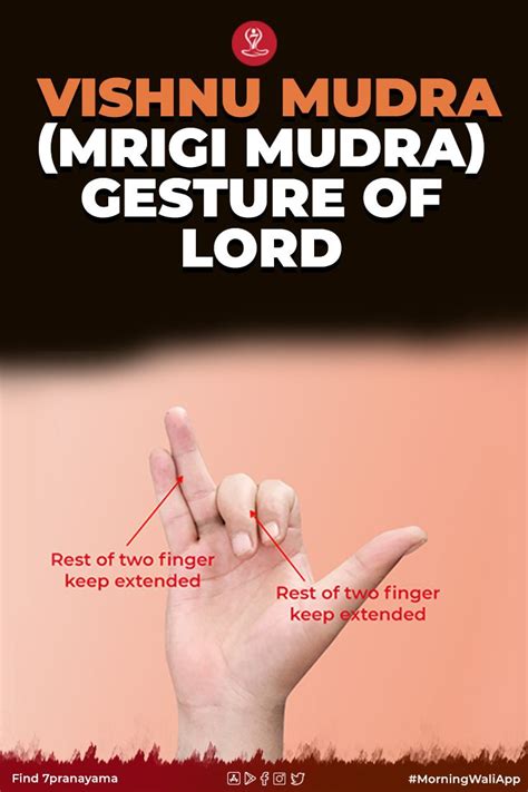 Vishnu Mudra | Mrigi Mudra | Gesture of Lord | Steps | Benefits | - | Mudras, Hand mudras ...