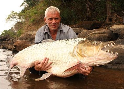 WORLD'S BIGGEST PIRANHA - Gallery | eBaum's World