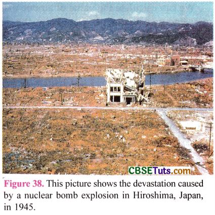 Nuclear Fission - The Heart of the Reactor - CBSE Tuts