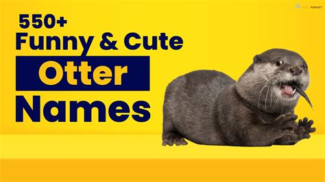 Funny & Cute Otter Names [550+ Cool Ideas]